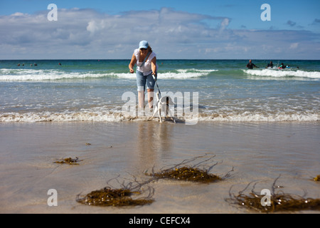 Signora cane a camminare sulla spiaggia, cane non piace l'acqua, passeggiate cane sul piombo, tri colorato jack russell,walking cane sul piombo, Foto Stock