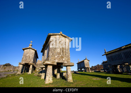 Tipica pietra essiccatoi del mais, chiamato Espigueiros Lindoso nel nord del Portogallo. Foto Stock