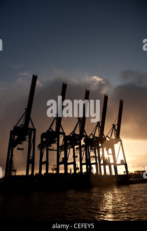 Gru per container nel porto di Amburgo , Germania Foto Stock