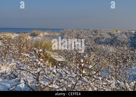 Eccezionalmente lungo e freddo inverno in Inghilterra del 2011-2012 con West Norfolk le spiagge e i laghetti sotto il ghiaccio e la neve Foto Stock