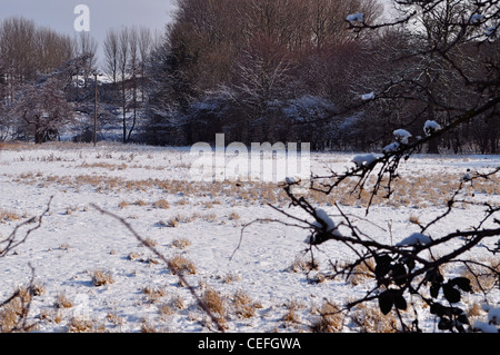 Eccezionalmente lungo e freddo inverno in Inghilterra del 2011-2012 con West Norfolk le spiagge e i laghetti sotto il ghiaccio e la neve Foto Stock