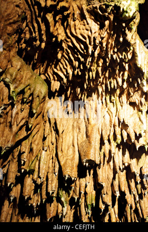 Tetto della grotta con tanto di stalattiti di close-up Foto Stock