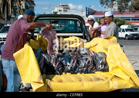 I clienti acquistano il pesce da un pescatore di Strand Western Cape Sud Africa Foto Stock