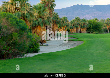 Il paesaggio intorno al Desert Willow Golf Resort. Palm Desert, California Foto Stock