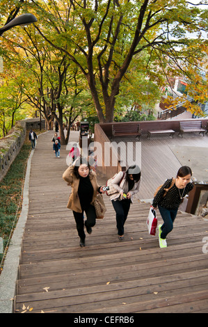 La gente camminare su e giù per le fasi che portano alla cima del Monte Namsan (o Nam Montagna) nel Parco di Namsan, Seoul Foto Stock