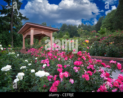 Gazebo in Portland prova Rose Garden. Orefgon Foto Stock