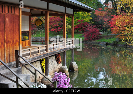 Tradizionale casa da tè lungo il laghetto e liscia aceri giapponesi in variopinti colori autunnali a giardino giapponese in Hasselt, Belgio Foto Stock