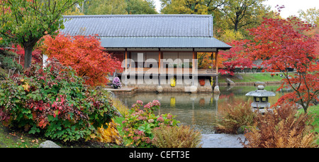 Tradizionale casa da tè lungo il laghetto e liscia aceri giapponesi in autunno colori al giardino giapponese, Hasselt, Belgio Foto Stock