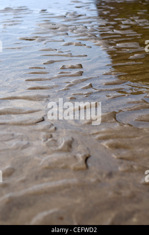 Primo piano di una spiaggia bagnata e sabbiosa in Cornovaglia, Inghilterra, Regno Unito Foto Stock