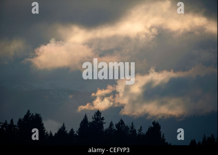 Aria di tempesta su Mout Arrowsmith, Parksville, Isola di Vancouver. British Columbia. Canada 7972 SCO Foto Stock