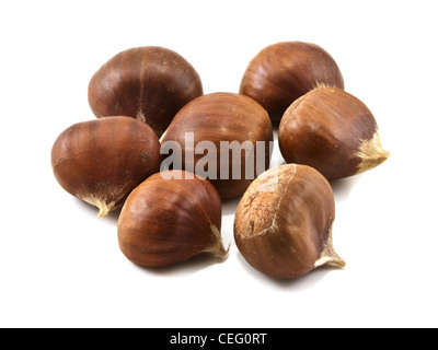 Diverse le castagne isolati su sfondo bianco Foto Stock