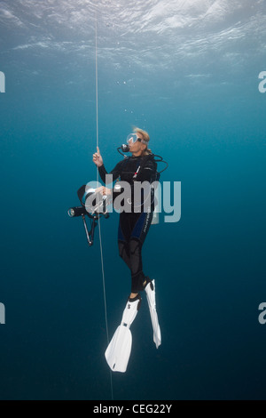 Scuba Diver facendo il fermo di sicurezza con la boa, Baa Atoll, Oceano Indiano, Maldive Foto Stock