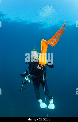 Scuba Diver si gonfia il suo marcatore di superficie di boa, Baa Atoll, Oceano Indiano, Maldive Foto Stock