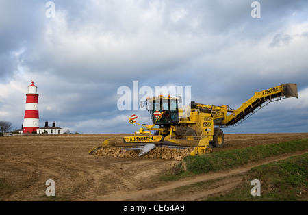 ROPA EURO MAUS 3 Barbabietola da zucchero loader e detergente in Norfolk contro un cielo nuvoloso & Happisburgh Lighthouse Foto Stock