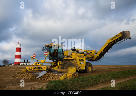 ROPA EURO MAUS 3 Barbabietola da zucchero loader e detergente in Norfolk contro un cielo nuvoloso & Happisburgh Lighthouse Foto Stock