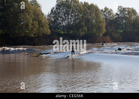 Surfers in Severn alesaggio sul fiume Severn a Minsterworth, Gloucestershire, England, Regno Unito Foto Stock