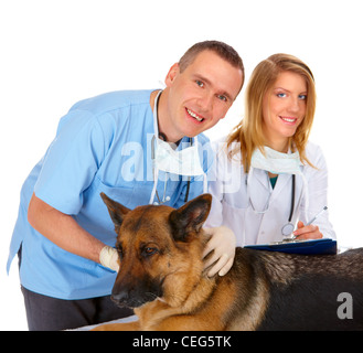 Vet e assistente esaminando cane, isolato su bianco Foto Stock