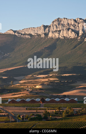 Laguardia, Alava, Araba, Spagna, i campi e i vigneti che circondano Laguardia sono dominate dalla Sierra Cantabria montagne. Foto Stock