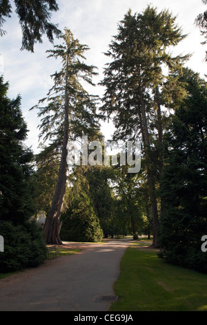 Una vista di un percorso a Stanley Park a Vancouver in Canada Foto Stock