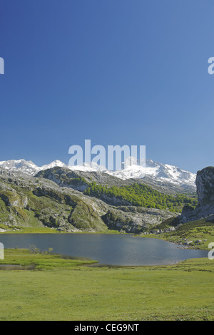Il Lago Ercina lago glaciale, laghi di Covadonga in Picos de Europa, Asturias, Spagna Foto Stock