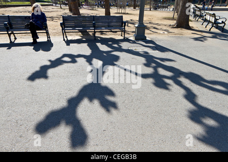 Ombre di un pollarded (potato) London plane tree (platanus acerifolia ibrido) cresce in Golden Gate Park di San Francisco. Foto Stock