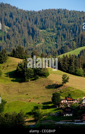 Villaggio Arêches. Beaufortain valley. Rodano Alpi Francia Foto Stock