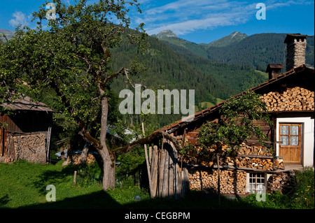 Chalet in legno case in Arêches village, Beaufortain valley. Rodano Alpi Francia Foto Stock