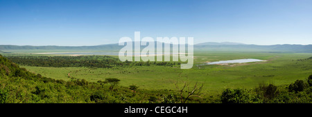 Cratere di Ngorongoro vista panoramica dalla strada in salita in Tanzania Foto Stock