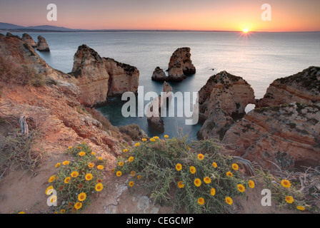 Sunrise over Ponta da Piedade vicino a Lagos nella regione dell'Algarve Portogallo Foto Stock