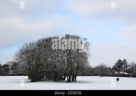 Nonsuch Park, Cheam Surrey, Inghilterra Foto Stock