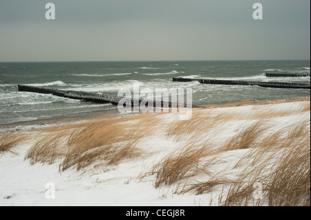 Spiaggia Invernale in Ahrenshoop, sul Fischland-Darß-Zingst penisola del Mar Baltico. Foto Stock