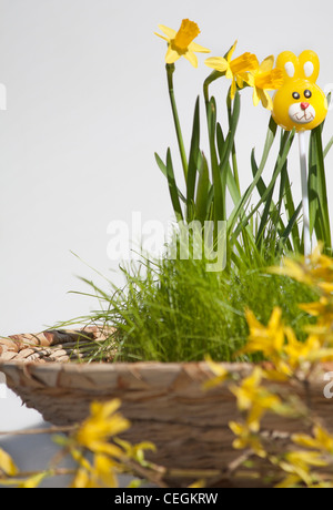 Buona Pasqua un cestino con i fiori gialli di Narciso immagini foto foto formato verticale ad alta risoluzione negli Stati Uniti ad alta risoluzione Foto Stock