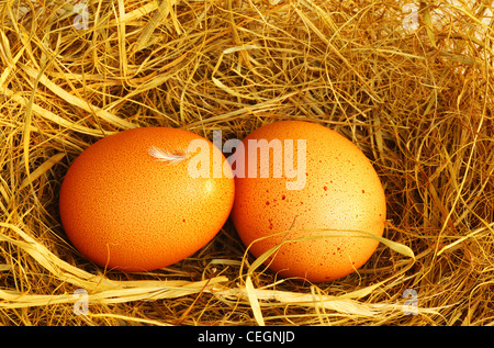 Due uova d'oro con minuscoli feather isolate su erba secca, decorazione di Pasqua Foto Stock