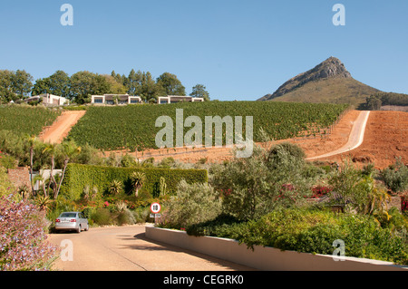 Delaire Graff Wine Estate Stellenbosch Sud Africa Foto Stock