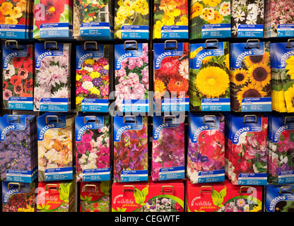 Confezioni di sementi di fiori sul centro giardino espositore Foto Stock