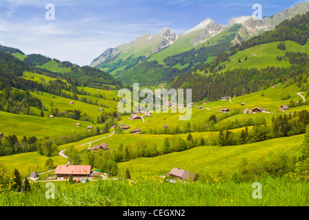 Chalets in campi verdi di Jaunpass Oberland Bernese Svizzera Europa Foto Stock