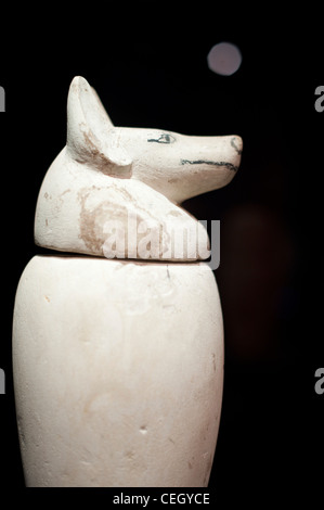 Egiziano, vaso canopi, mamma, urna funeraria Foto Stock