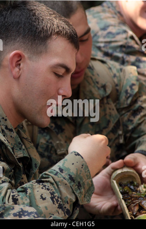 I marines statunitensi assegnati alla 31esima unità di spedizione marina (MEU) mangiano insetti durante una classe di addestramento di sopravvivenza della giungla al campo di Recon, Regno di Thailandia, 3 febbraio 2012. La classe faceva parte dell'esercizio di formazione multilaterale Cobra Gold 2012. Cobra Gold 2012 dimostra la volontà degli Stati Uniti e delle nazioni partecipanti di aumentare l'interoperabilità e promuovere la sicurezza e la pace in tutta la regione Asia-Pacifico. Il 31° MEU è la forza di spedizione degli Stati Uniti in preparazione nella regione. Foto Stock