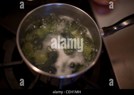 Boiling Pot di verdure sulla sommità della stufa Foto Stock