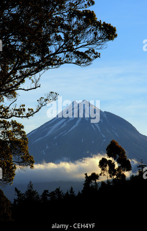 Mount Egmont (Taranaki) in Nuova Zelanda al tramonto Foto Stock