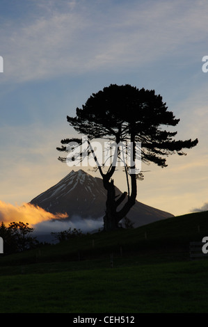 Mount Egmont (Taranaki) in Nuova Zelanda al tramonto Foto Stock