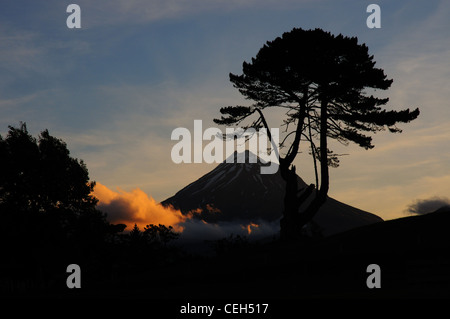 Mount Egmont (Taranaki) in Nuova Zelanda al tramonto Foto Stock