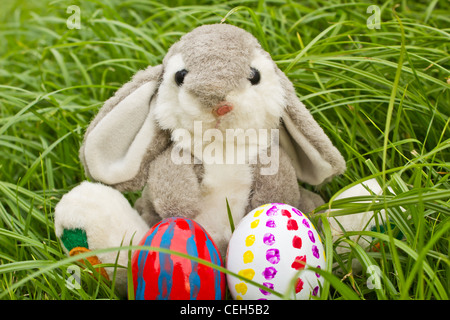 Coniglietto di Pasqua Foto Stock