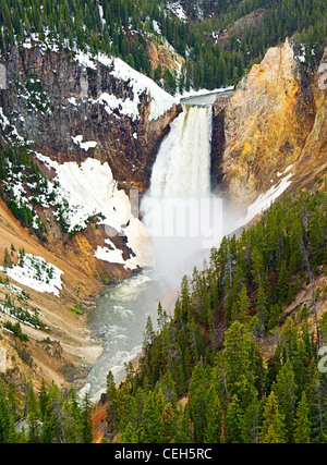 Yellowstone cade in Primavera tempo. Foto Stock