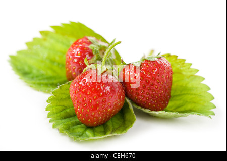 Fragole fresche frutti giacente sulla lamina su bianco Foto Stock