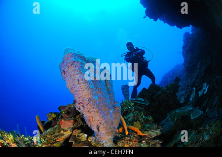 Una scogliera corallina caraibica con spugne colorate e scuba diver, Cienfuegos, Punta Gavilanes, Cuba, Caraibi Foto Stock