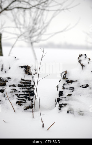 Un gap in una cotswold muro di pietra in condizioni nevoso REGNO UNITO Foto Stock