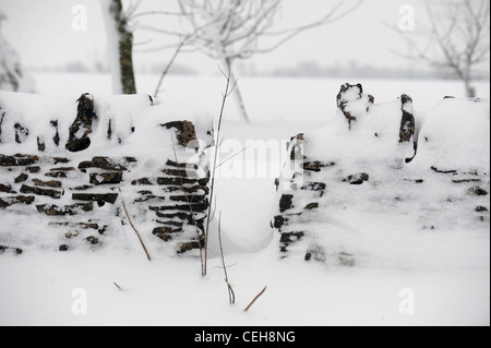 Un gap in una cotswold muro di pietra in condizioni nevoso REGNO UNITO Foto Stock