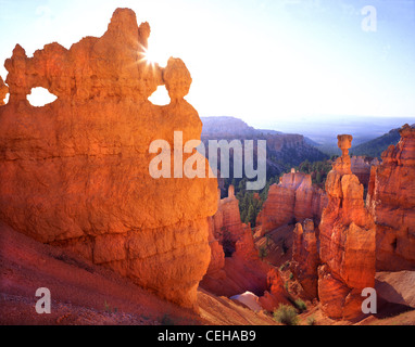 Hoodoos, compreso il Thor del martello glow in mattina presto luce lungo Navajo Loop Trail nel Parco Nazionale di Bryce Canyon Foto Stock