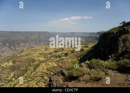 Affacciato sulla Rift Valley africana e delle aziende agricole nei pressi di Debre Libanos in Etiopia Foto Stock